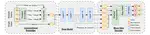 HAMburger: Accelerating LLM Inference via Token Smashing
